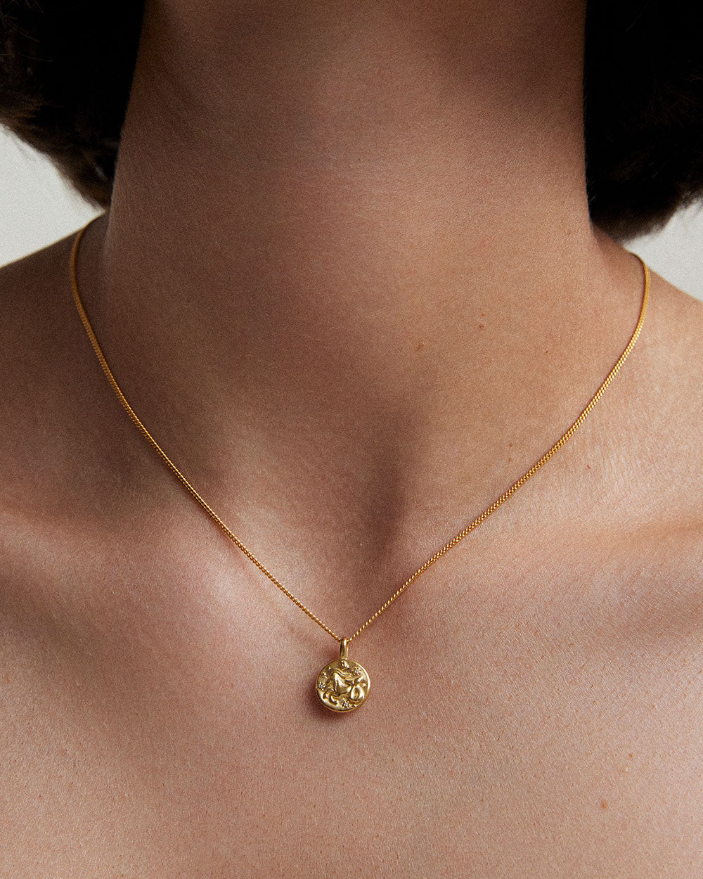 CAPRICORN PETITE ZODIAC (18K GOLD VERMEIL)