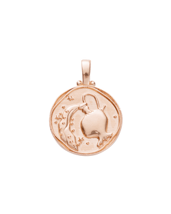 AQUARIUS ZODIAC (18K ROSE GOLD VERMEIL) IMAGE 1