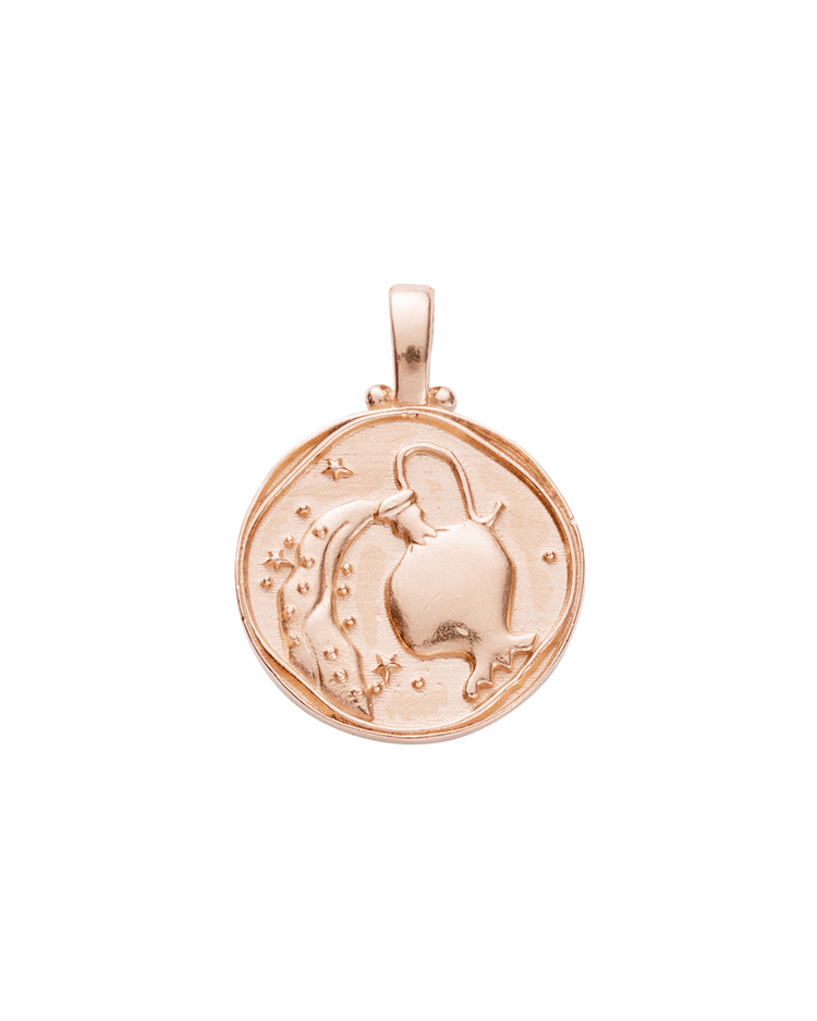 AQUARIUS ZODIAC (18K ROSE GOLD VERMEIL) IMAGE 1