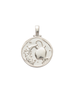 AQUARIUS ZODIAC (STERLING SILVER) IMAGE 1
