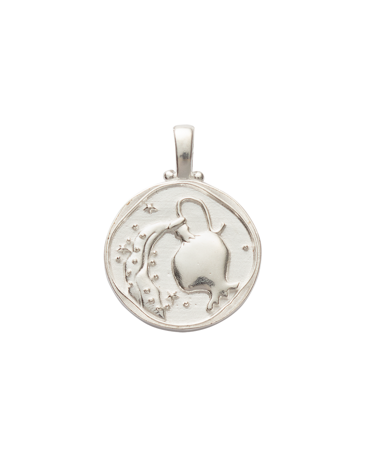 AQUARIUS ZODIAC (STERLING SILVER) IMAGE 1