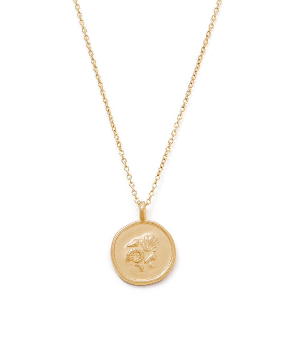 MEMOIR COIN NECKLACE (18K GOLD VERMEIL)