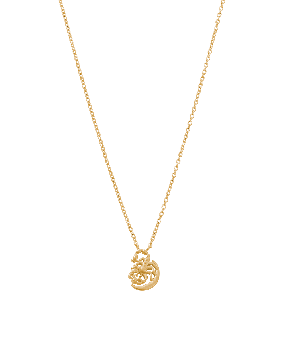 STAR SIGN NECKLACE (18K GOLD VERMEIL)