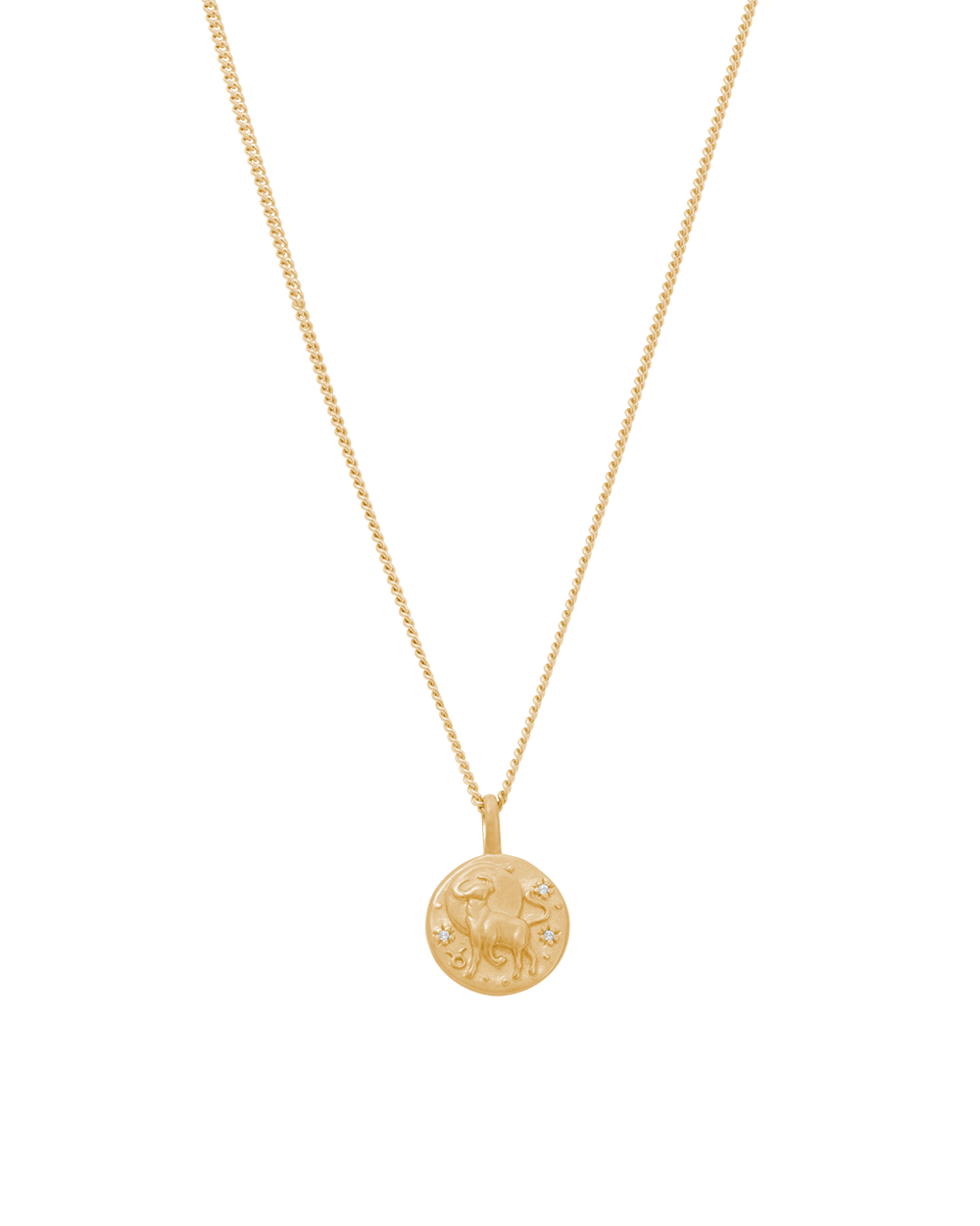 PETITE ZODIAC NECKLACE (18K GOLD VERMEIL)