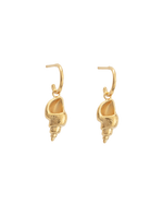 CONCH SHELL HOOPS (18K GOLD PLATED) - IMAGE 1